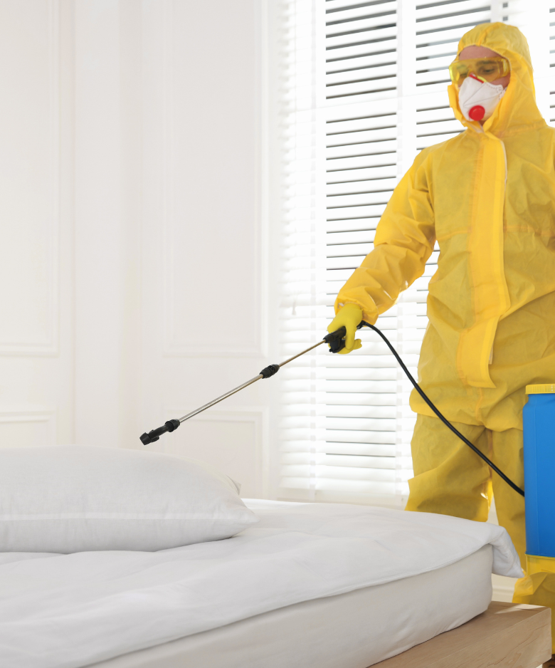Professional Pest Control Team in Wayville